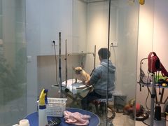 -PETKIT 小佩宠物·低压洗护·美容·寄养(安远店)