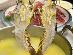 -喜聚薈·花膠雞海鮮火鍋(越秀店)