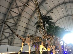 -辽宁古生物博物馆