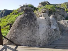-大岭沟猕猴桃谷风景区