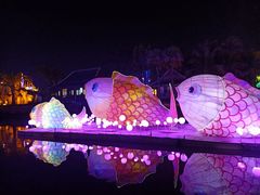 -勐巴拉娜西大剧院