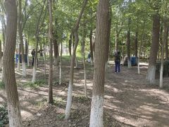 -亲兄弟真人CS团建拓展基地