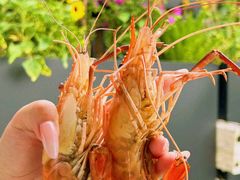 -徐岛主·特色农家乐(阳澄湖莲花岛店)