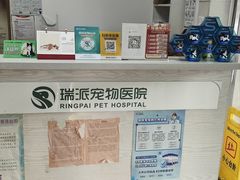 -瑞派天宁宠物医院·猫科·异宠中心