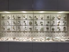 -龙泉青瓷博物馆