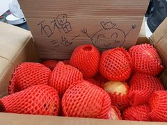 -帝京日语(春熙路旗舰校区)