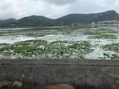 -鸣鹤古镇