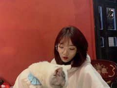 -猫色咖啡·猫咖