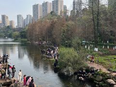 -重庆彩云湖湿地公园