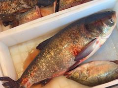 -江湖水乡铁锅炖魚(周庄嘉园店)