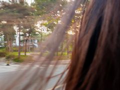 -清华大学-清芬园