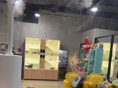 -十年猫舍·猫咪专门店(普陀店)
