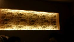 android_upload_pic-雅曼妮