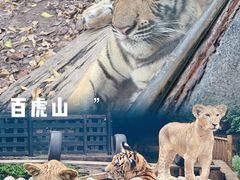 -广州长隆野生动物世界