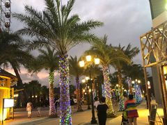 -三亚海昌梦幻海洋不夜城