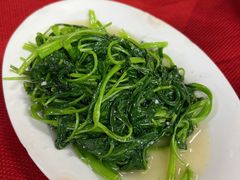 -蛇口康乐快餐鱼仔档(翠苑小区店)
