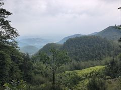 -莫干山风景区