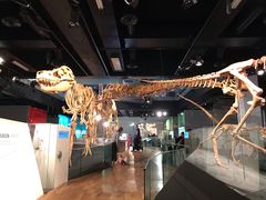 -墨尔本博物馆(Melbourne Museum)