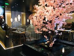 -提香日本料理