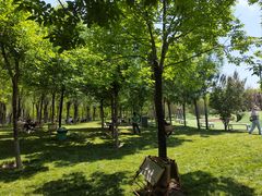 -爪吧宠物乐园 (温榆河示范区店)