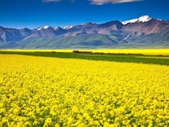 -青海湖国家重点风景名胜区