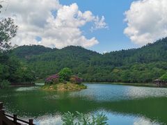 -广州白江湖森林公园