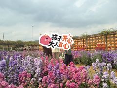 -盈香心动乐园