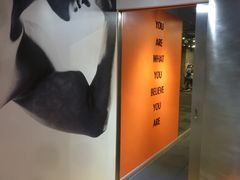 -健身专家Wellness Experts