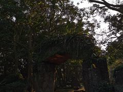 -海口火山口国家地质公园