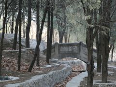 -北京鹫峰国家森林公园