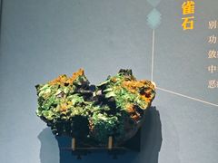 -山东博物馆