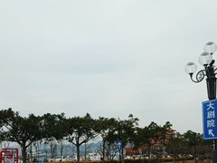 -野狸岛