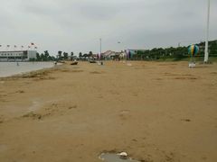 -碧海金沙
