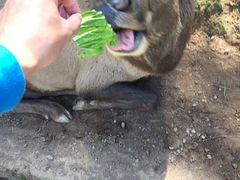 -昆明动物园
