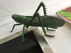 -上海昆虫博物馆