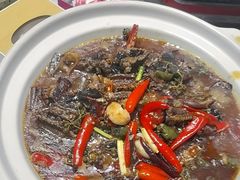 -蔡妹龙虾•肥鱼地标(陶珠路步行街店)
