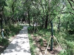 -巢湖姥山岛