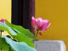 -常州天宁禅寺