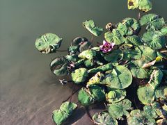 -亿利库布其七星湖沙漠生态旅游区