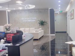 -上海首尔丽格医疗美容医院