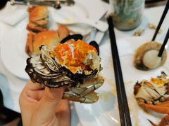 -半岛听涛蒸汽海鲜自助(K11店)