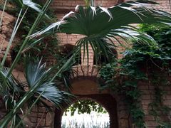 -泰山花样年华景区