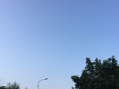 -艾溪湖湿地公园