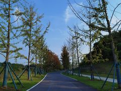 -南京市无想山景区