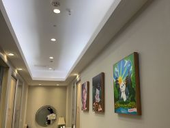 -咪咪专业脱毛连锁机构