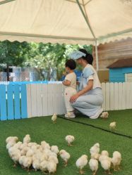 -萌宠亲子动物乐园(槐房万达店)