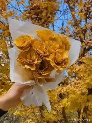 -Oasis Beauty水磨坊科技美肤中心