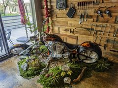 -2326 Coffee Roaster咖啡豆可选店(林肯公园店)