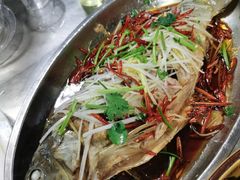 -向民炒鸡老店(火车站店)