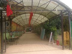 -草根堂农场